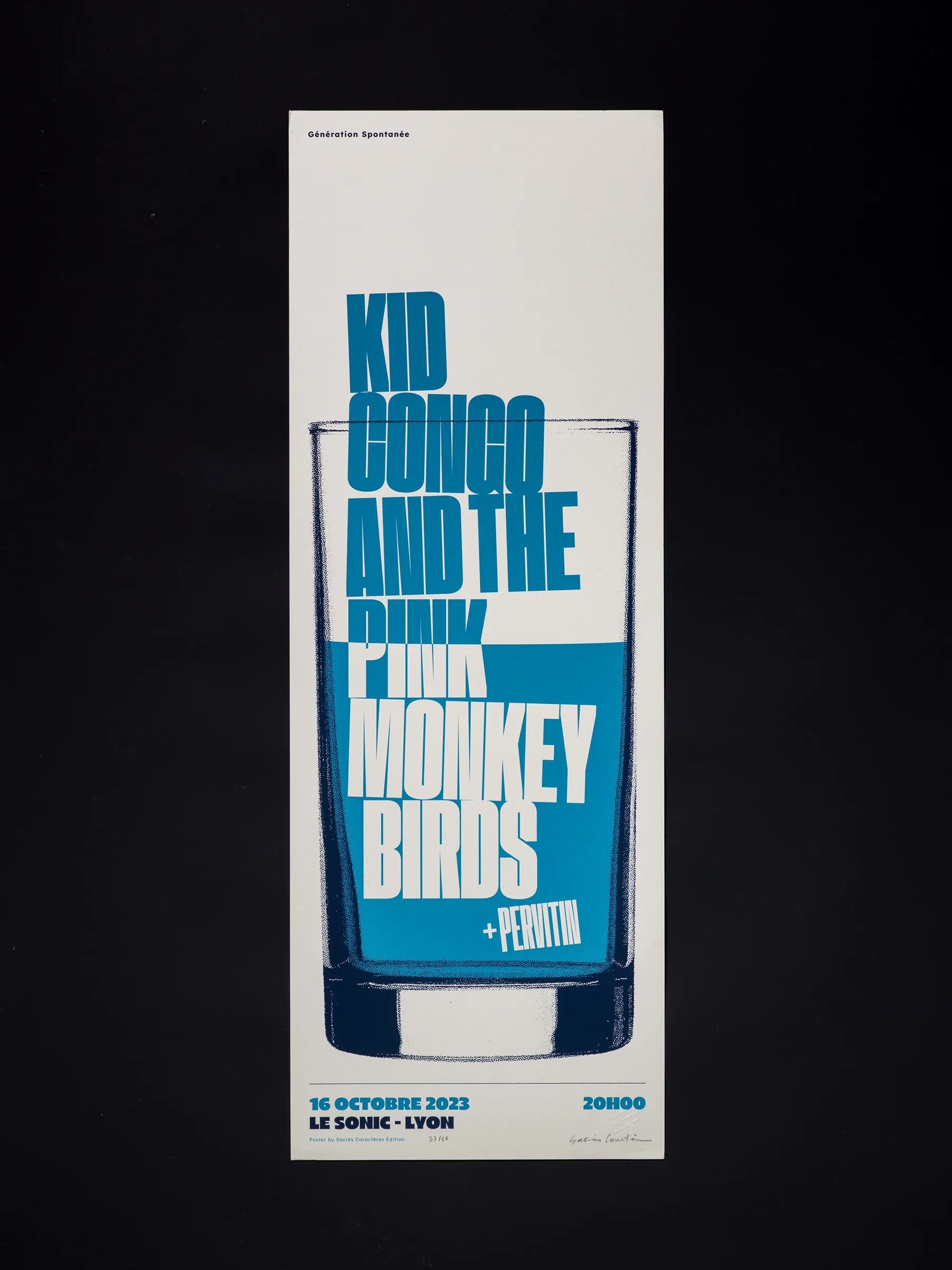 Kid Congo And The Pink Monkey Birds